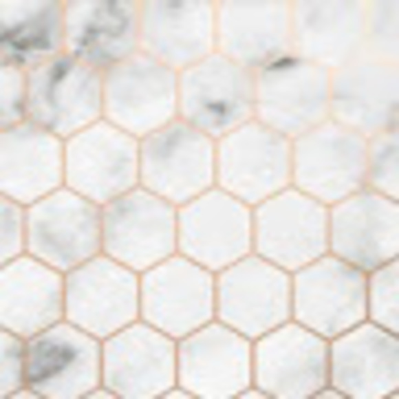 Meet your Posher, Anna - Picture 1 of 1